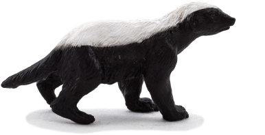 Honey Badger Male - Honey Badger Png (540x360), Png Download