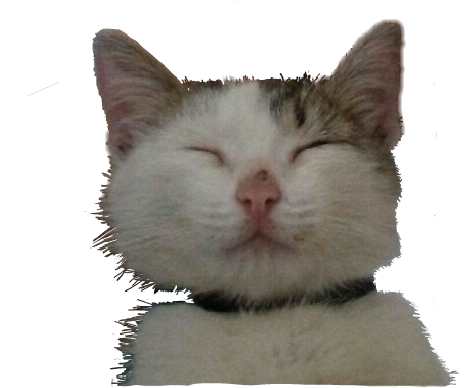 Happycat Happy Fine Cats Catsticker Happiness - Domestic Short-haired Cat (464x388), Png Download