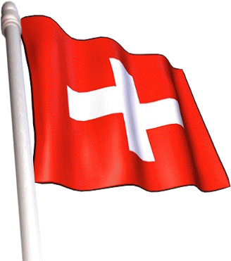 The European Commission Proposed On 5 November 2010 - Swiss Flag Clip Art (348x375), Png Download