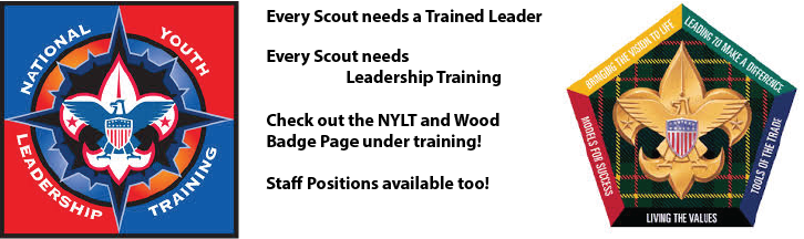 Boy Scouts Of America (726x216), Png Download