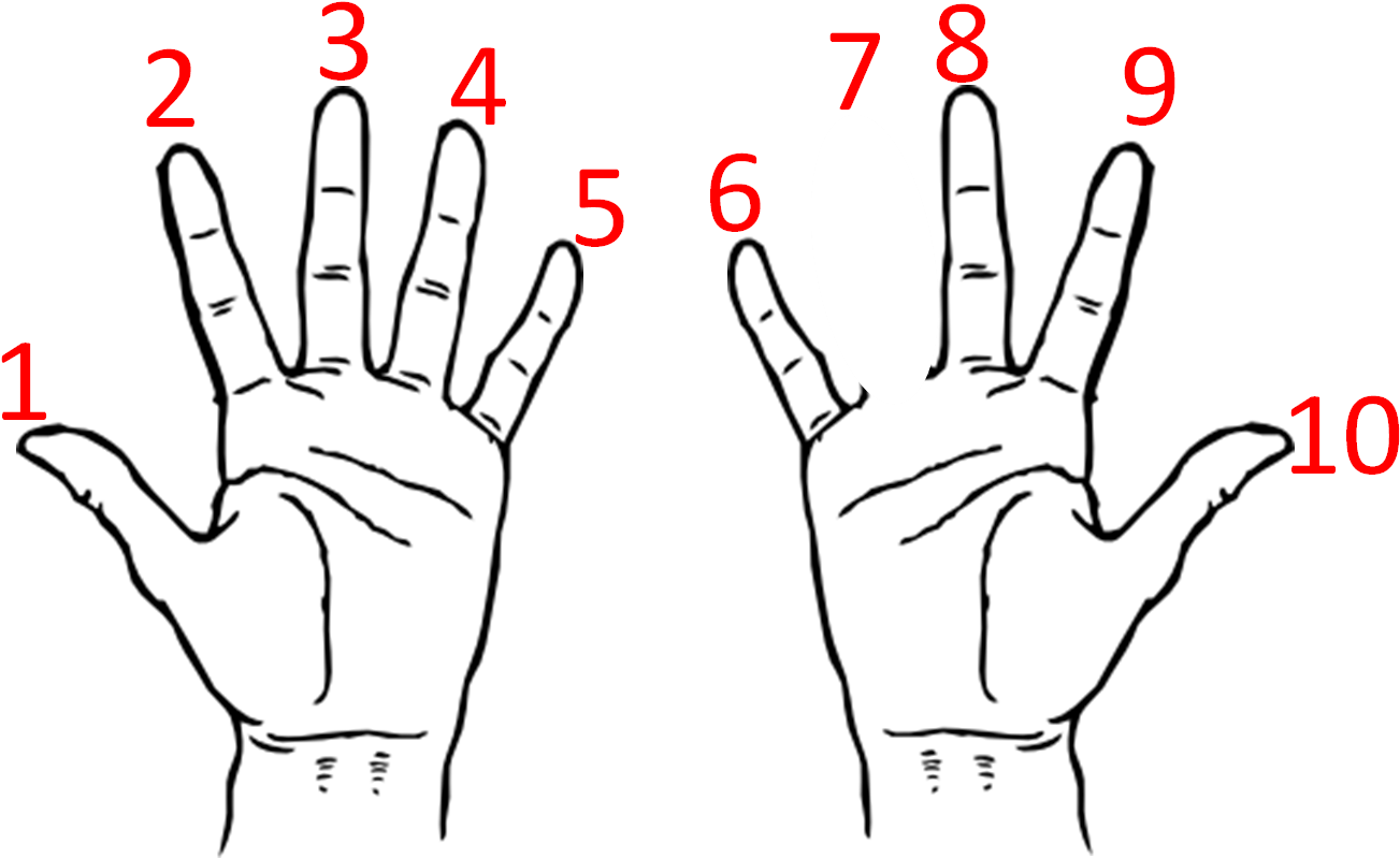 Index Finger In Hindi (1452x867), Png Download