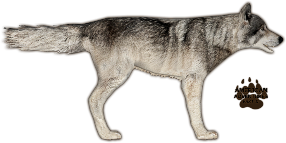 Wolf - Zoo Tycoon 2 Wolf (1024x576), Png Download