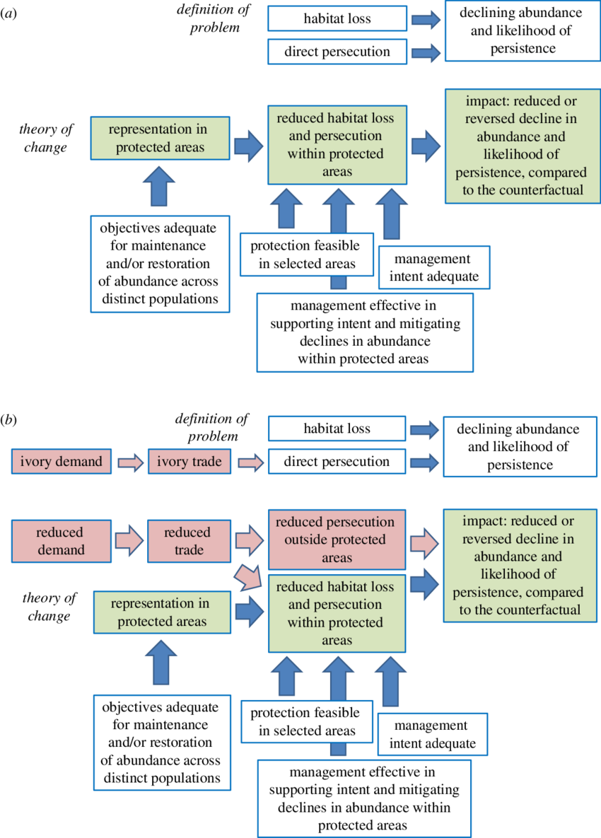 Red Wolf, Canis Rufus - Theory Of Change Diagram Biodoversity (850x1185), Png Download