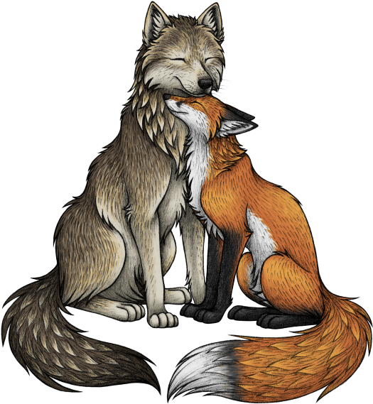 Wolf & Fox - Wolf And Fox Art (555x600), Png Download