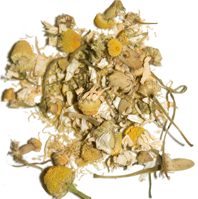 Herbal Egyptian-cotton - Egyptian Camomile Tea (800x800), Png Download