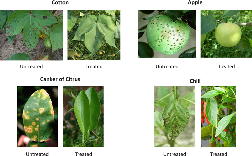 Organic / Herbal Crop Protection - Biointensive Integrated Pest Management In Horticultural (847x525), Png Download