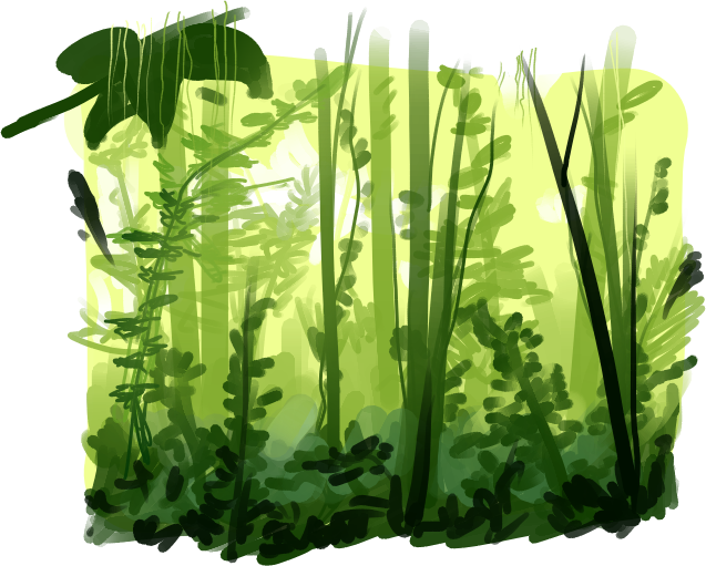 Rainforest Png Pic - Rainforest Animation (637x511), Png Download