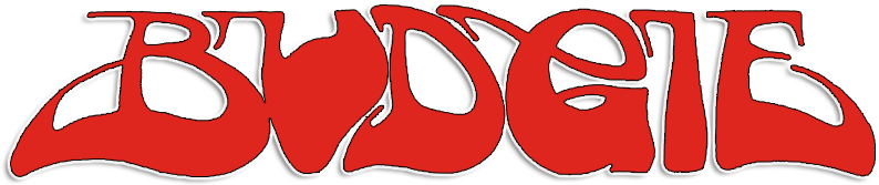 Budgie-5041270c435ac - Budgie Band Logo Png (800x310), Png Download