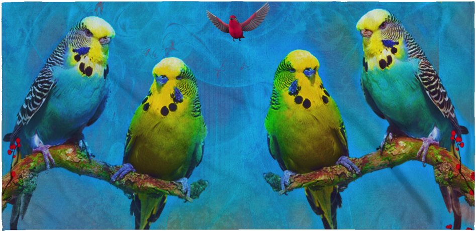 Budgie Beach Towel (1024x1024), Png Download