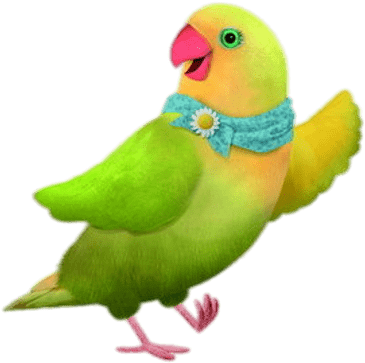 Budgie (400x400), Png Download