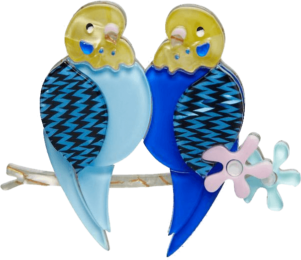 Best Budgies - Erstwilder Best Budgies Brooch (700x700), Png Download