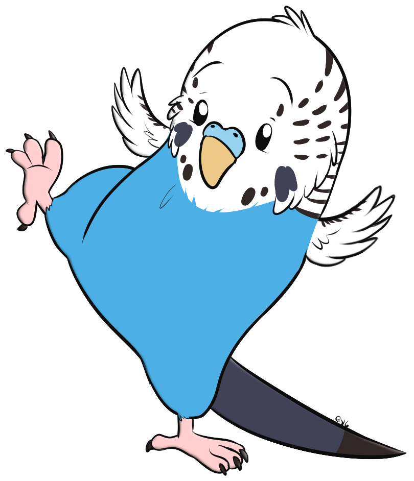 Senpai Budgie - Gift (1000x1000), Png Download