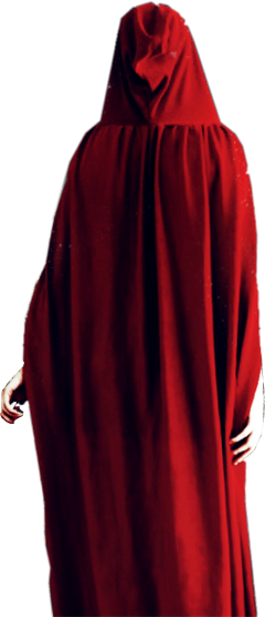 Hooded Hood - Skirt (240x559), Png Download