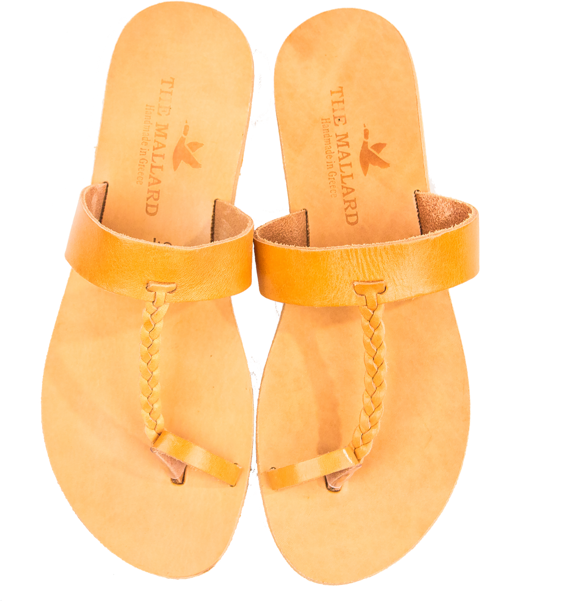 The Aristotle (2048x2048), Png Download