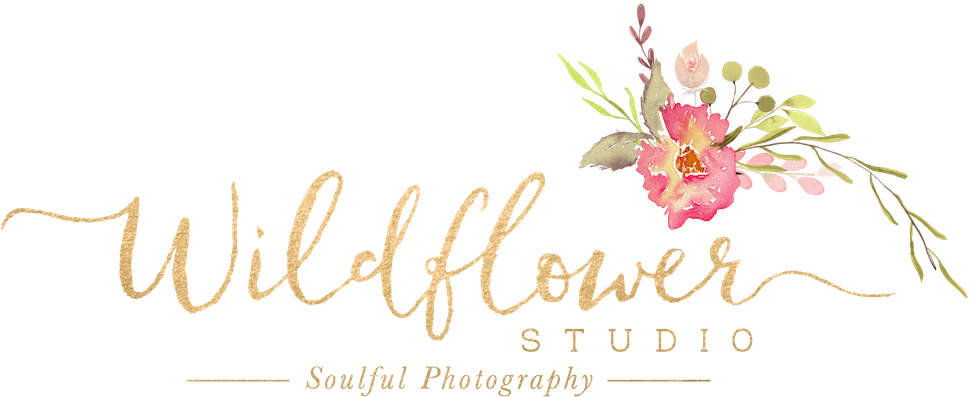 Wildflower Studio Soulful Photography (1000x400), Png Download