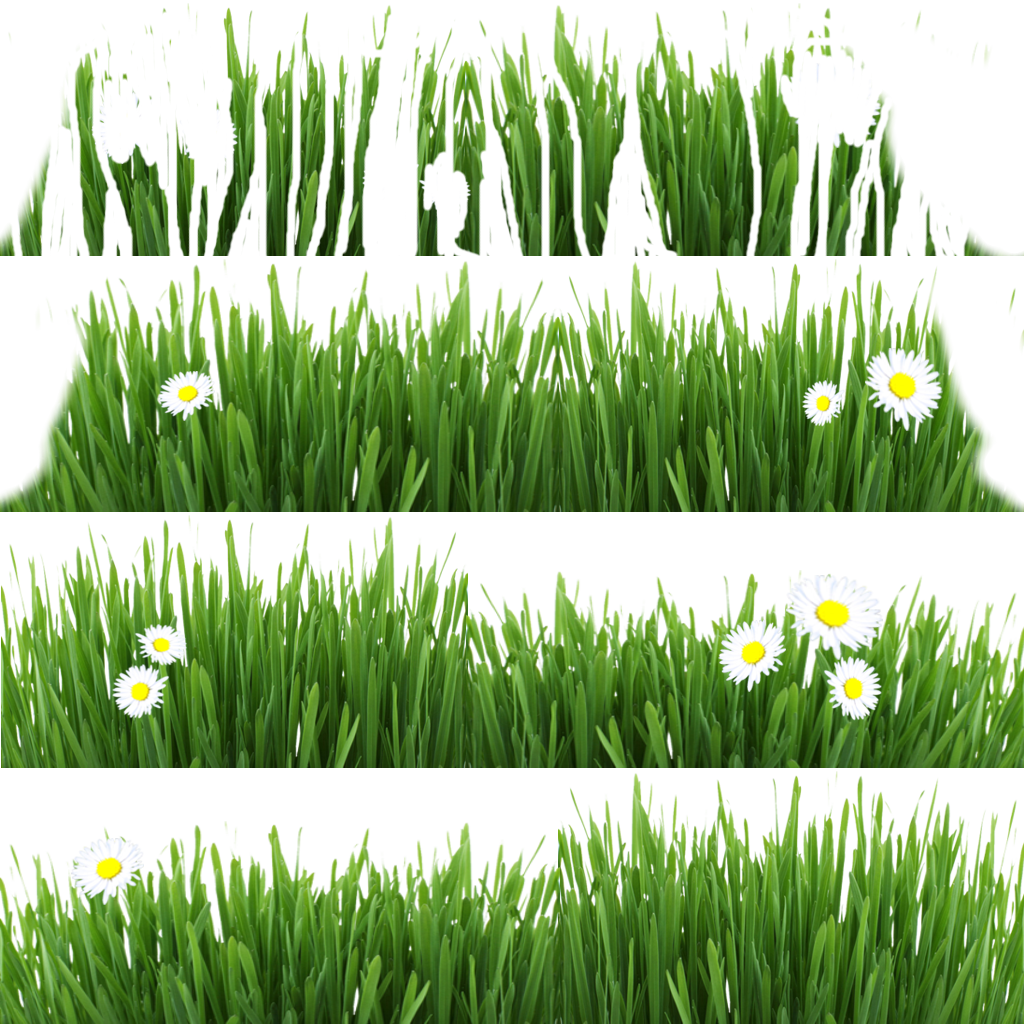 Grass12 - Fresh Green Grass On White Backround Throw Blanket (1024x1024), Png Download