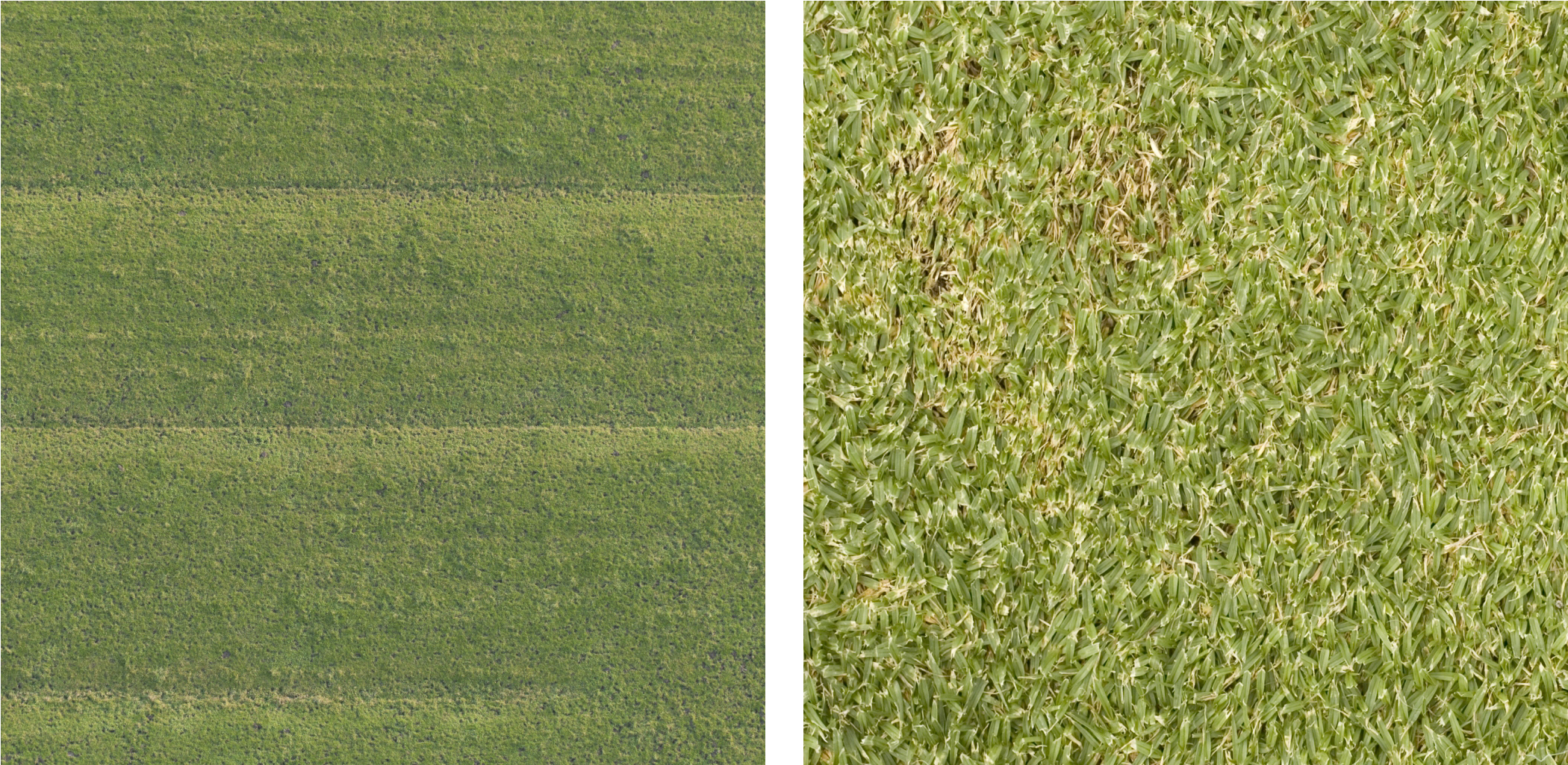 Here Are Two Grass Textures - Logo (2627x1126), Png Download