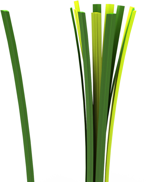 Blog 4 Glattes Filament - Blog (1024x768), Png Download