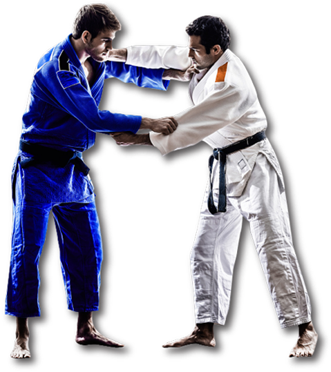 Are You Getting Sick Of The Same Old Workout Are You - Brazilian Jiu-jitsu (517x538), Png Download