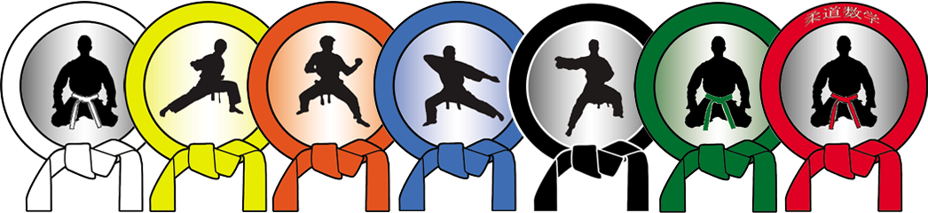This Is A Pic Of All The Belts For Every Discipline - Judo (1046x240), Png Download