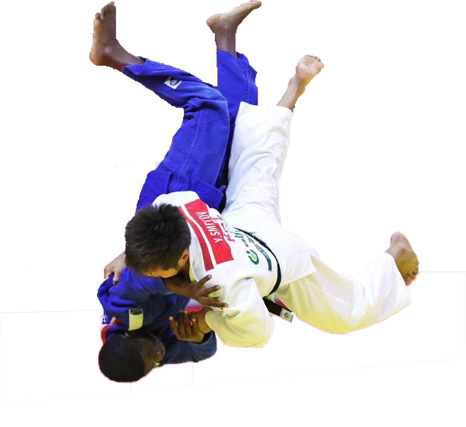 Welcome To The Official Website Of Odisha State Judo - Brazilian Jiu-jitsu (1533x1441), Png Download