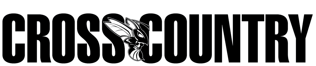 Hornet Cross Country Png - Insurgency (1074x224), Png Download