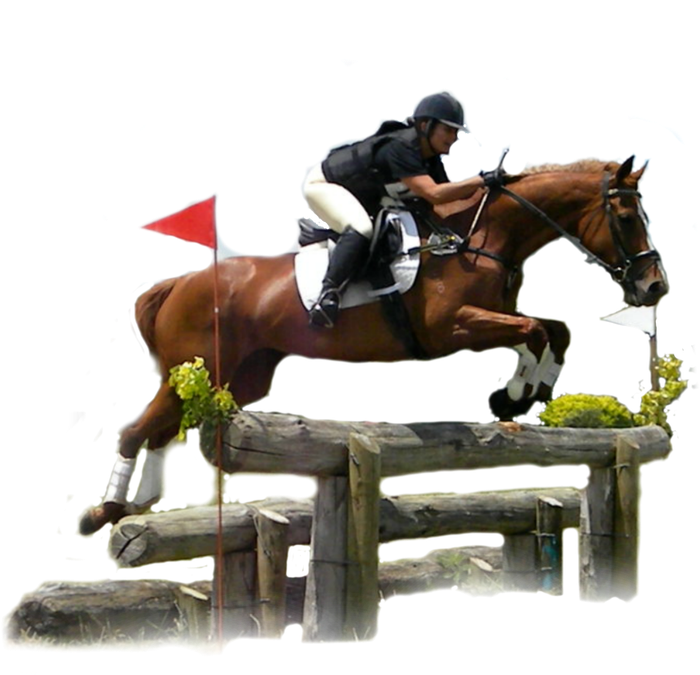 Powered - Transparent Cross Country Horse (800x800), Png Download