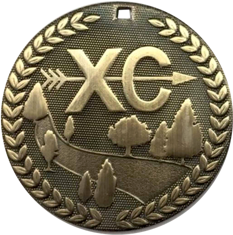 Custom Cross Country Stock Medal (2"), Promotional (500x499), Png Download