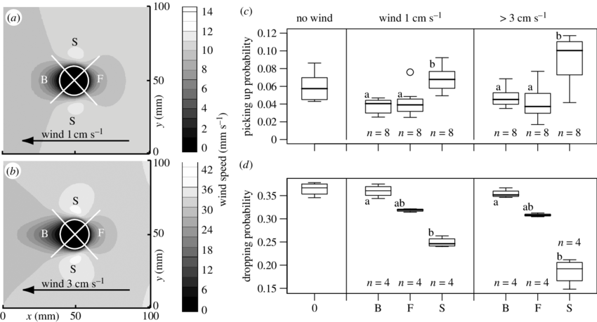 Effect Of Corpse Piles On Air Flow And Clustering Behaviour - Airflow (850x459), Png Download