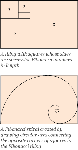 Golden Ratio - Design (265x505), Png Download