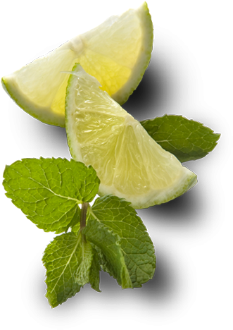 Limeandmint - Mint And Lime Png (340x478), Png Download