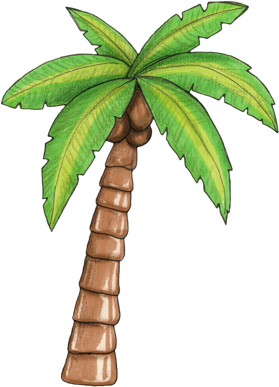 Download Pin By Tatimaia On Moana Baby Pinterest Moana Palm Tree Moana Full Size Png Image Pngkit