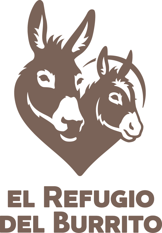 Home - Donkey Sanctuary Ireland Logo (645x926), Png Download