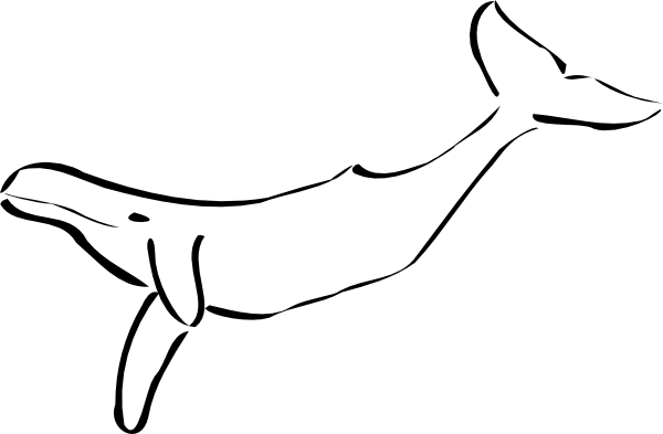 Free Vector Whale Clip Art - Outline Of A Whale (600x393), Png Download