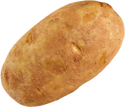 Russet Potato - Baked Potato Transparent (600x514), Png Download