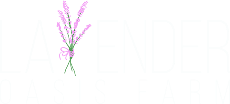 Lavender Oasis Farm - Lavender (500x241), Png Download