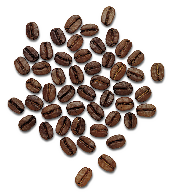 Coffee Beans Png Image - Dolce Gabbana The Only One (672x761), Png Download