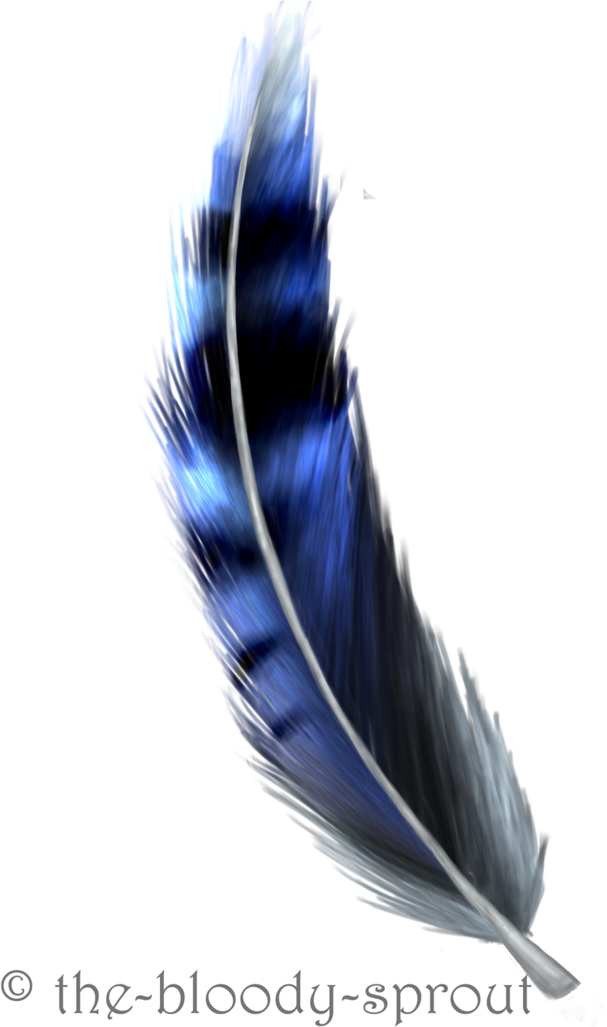 Blue Jay Feather Drawing Feather Sketch, Feather Drawing, - Blue Jay Feather Png (900x1489), Png Download