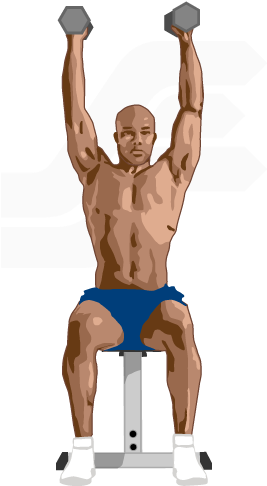 Dumbbell Shoulder Press - Biceps Curl (327x522), Png Download