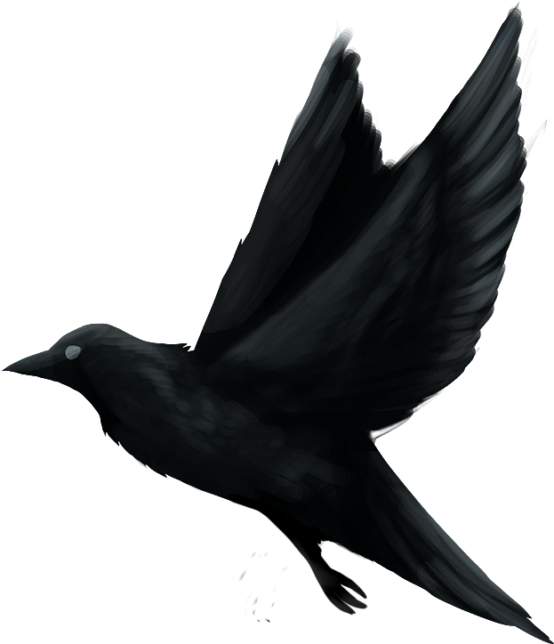 Painted Raven - Raven (900x900), Png Download