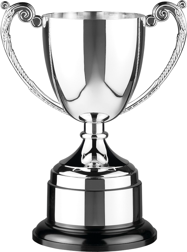 Trophy Clipart - Cup Winners Cup Trophy (651x852), Png Download