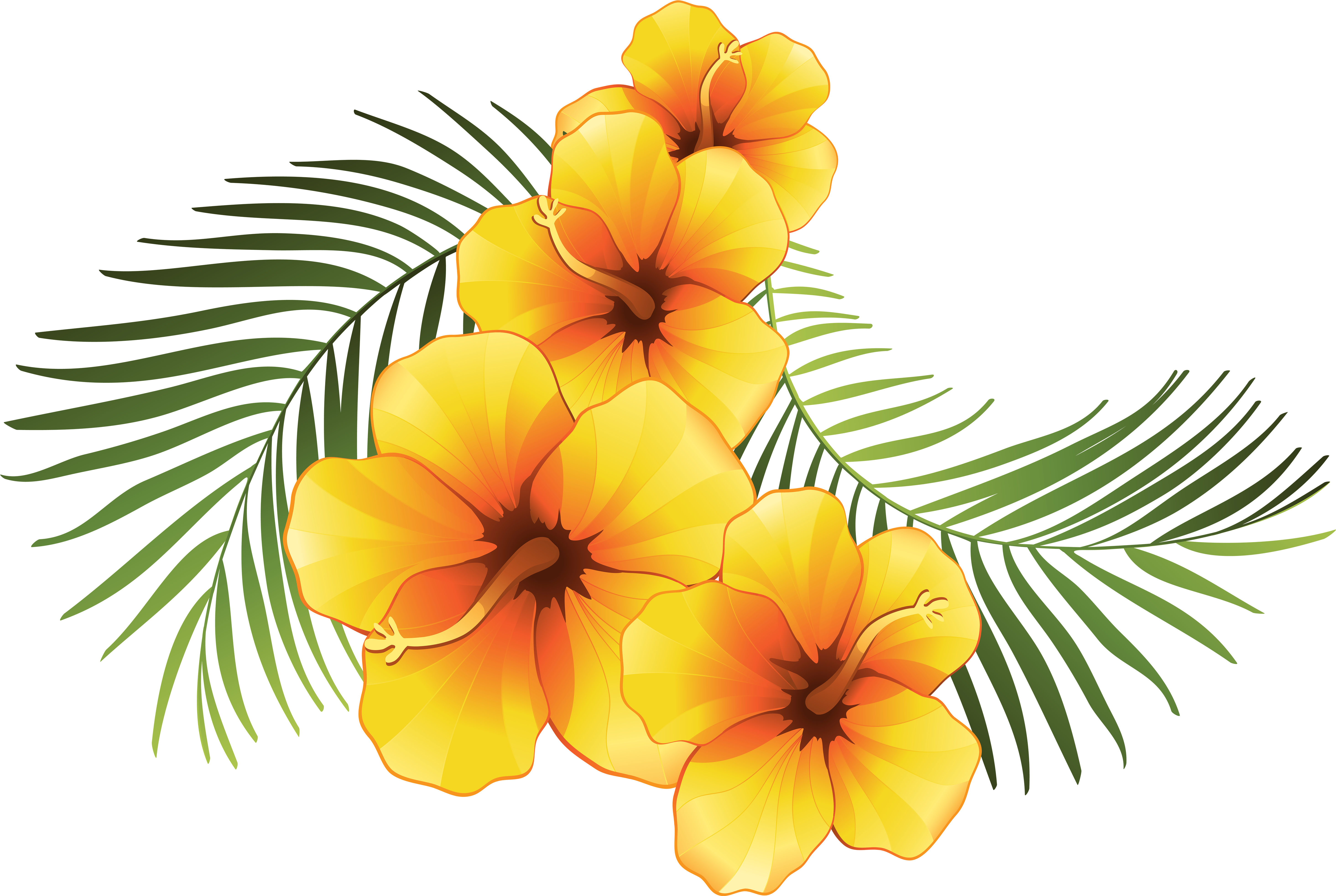 Plumeria Clipart At Getdrawings - Exotic Png (6000x4023), Png Download