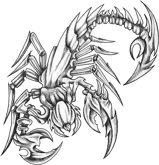 Scorpion Tattoo Designs Black And Grey (539x557), Png Download