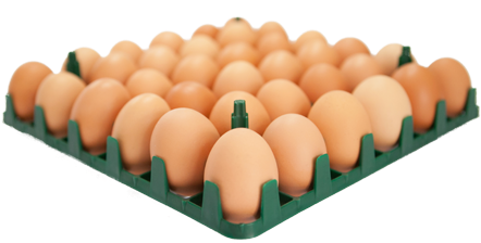 36 Egg Tray - Eggs In A Tray Png (450x300), Png Download
