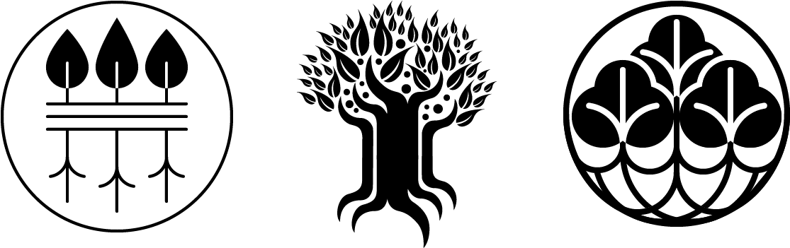 Sweet Sin Design Roots And Branches Logo - Photography (1200x410), Png Download
