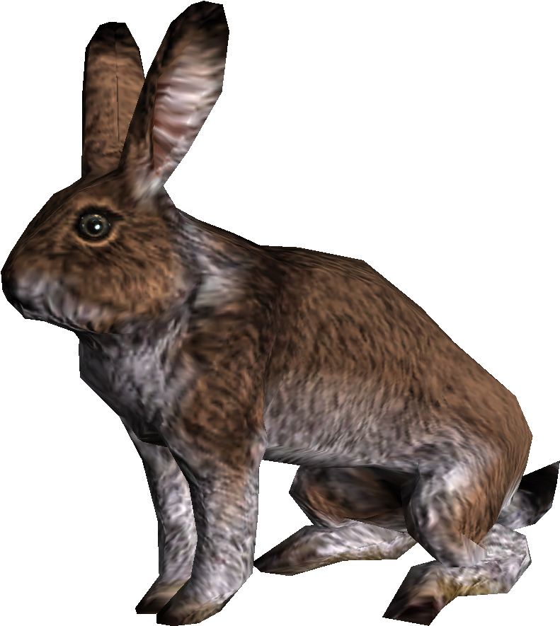 Download Skyrim Rabbit - Full Size PNG Image - PNGkit