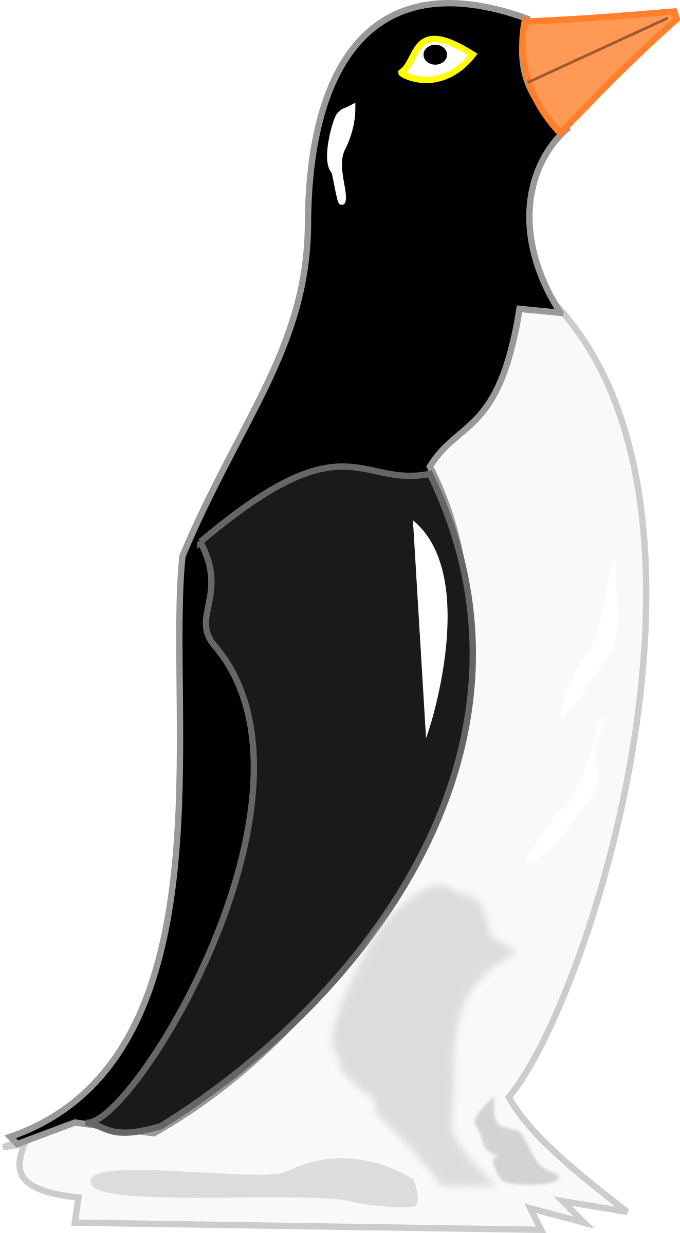 Perseverance - Cartoon Penguin Looking Right (800x800), Png Download