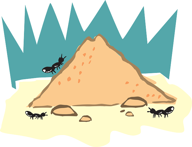 Home, Sand, Ant, Hill, Insect, Dirt - Insects And Their Homes (640x490), Png Download