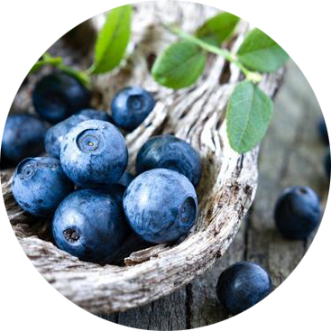 The Member Of Wiki - Deep Blue Blueberry Seeds (367x367), Png Download