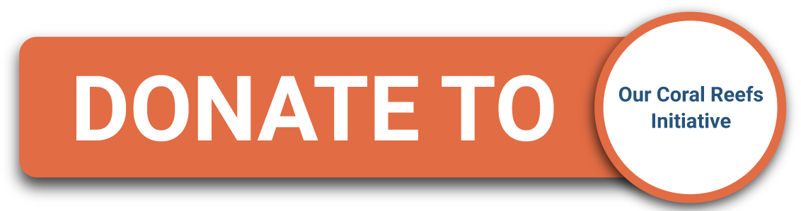 This Number Could Rise To 60% In The Next 30 Years - Portable Network Graphics (1132x299), Png Download